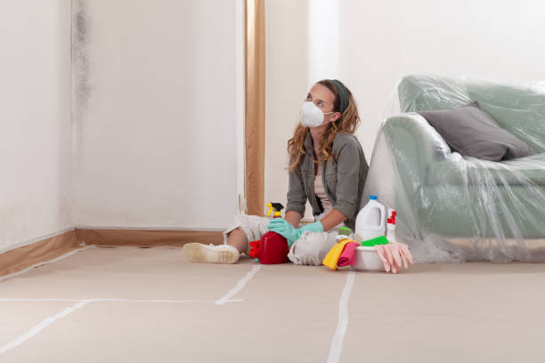 Reliable Black Mold Removal contractor in Plano, TX by WQB Mold Removal